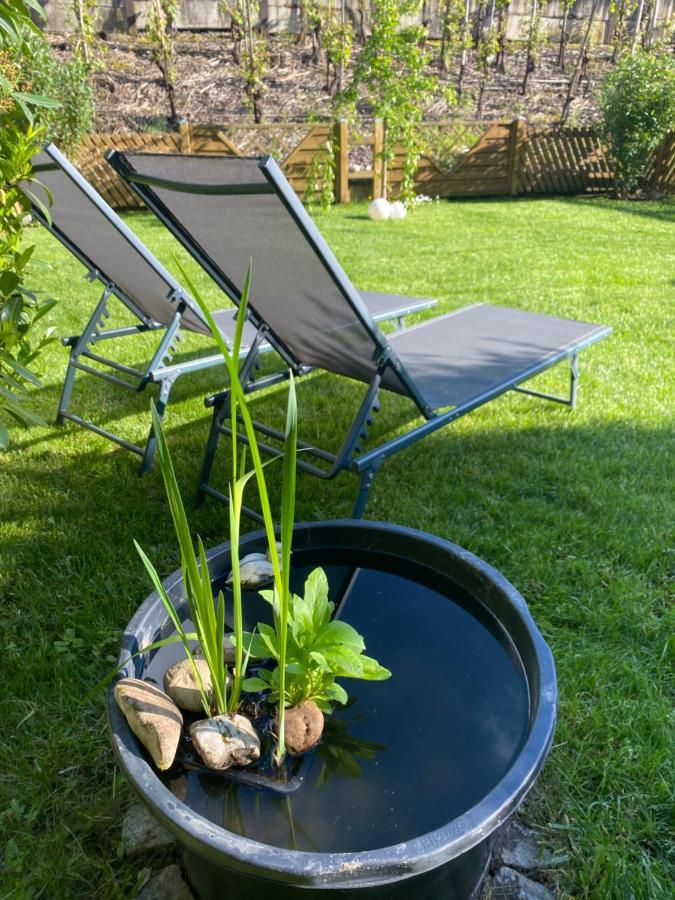 Ferienwohnung Ambiente II Und III Klotten Luaran gambar